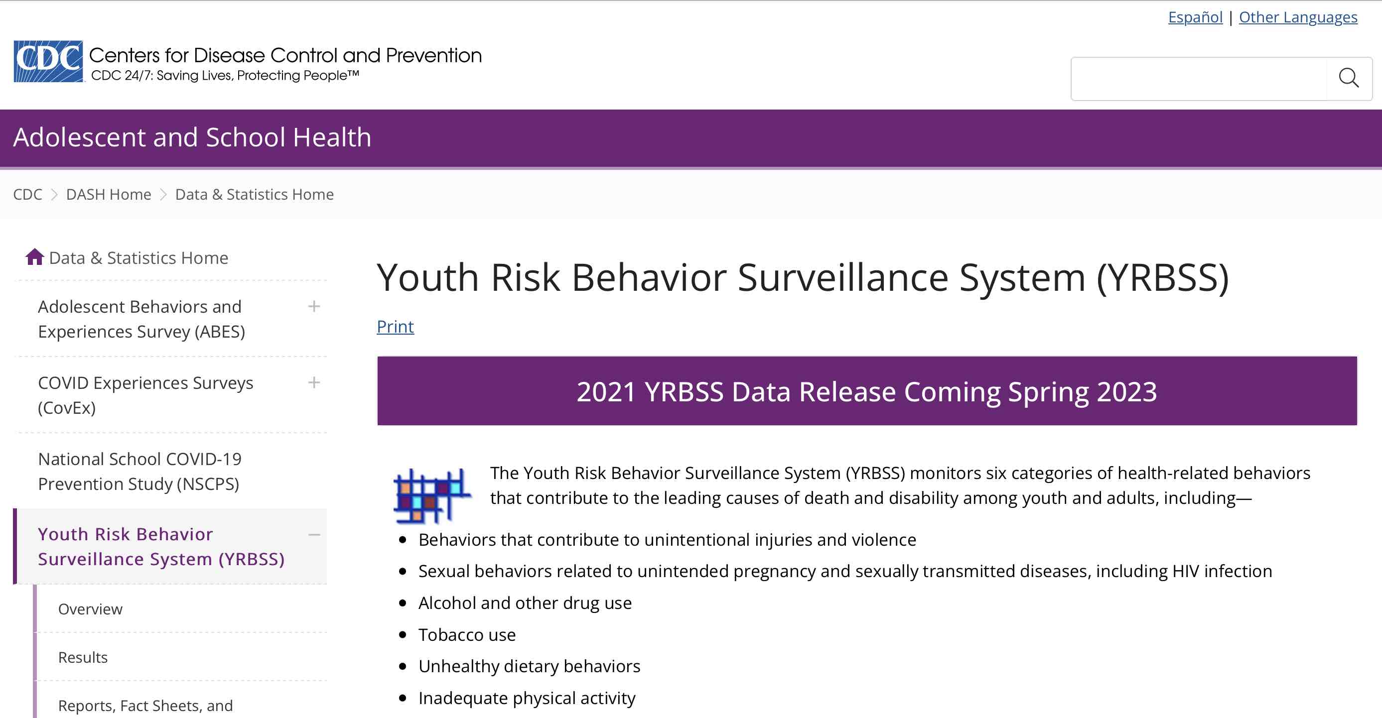 A screen grab of Youth Risk Behavior Surveillance System dataset