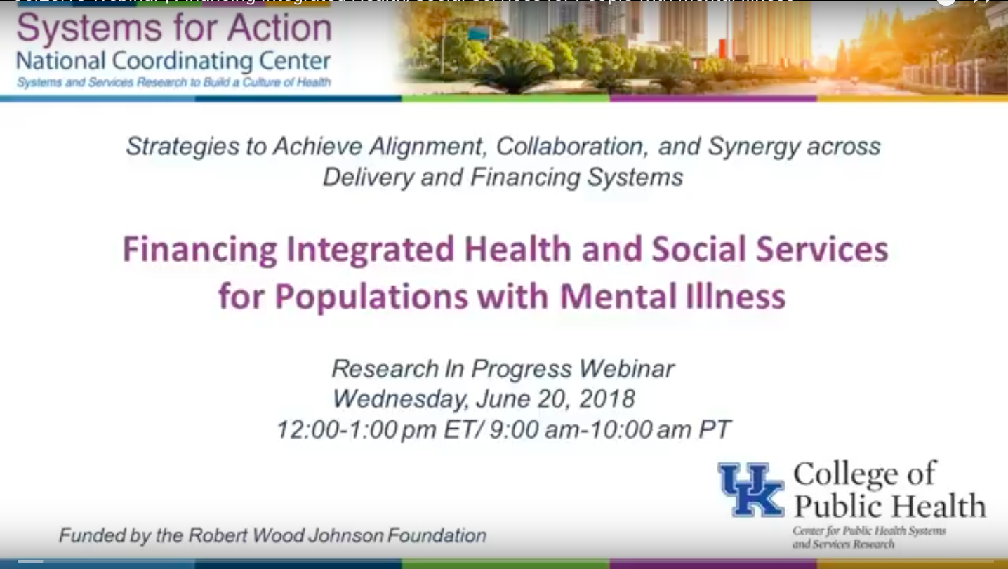 Screen grab of Systems for Action Webinar