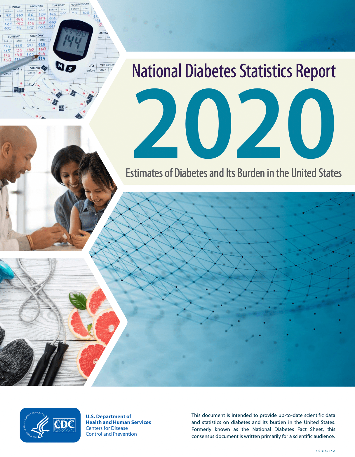 Screenshot of National Diabetes Statistics Report