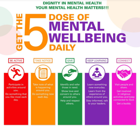 Screenshot of Article Picture of Well-being chart: Understanding the Difference Between Health and Well-Being