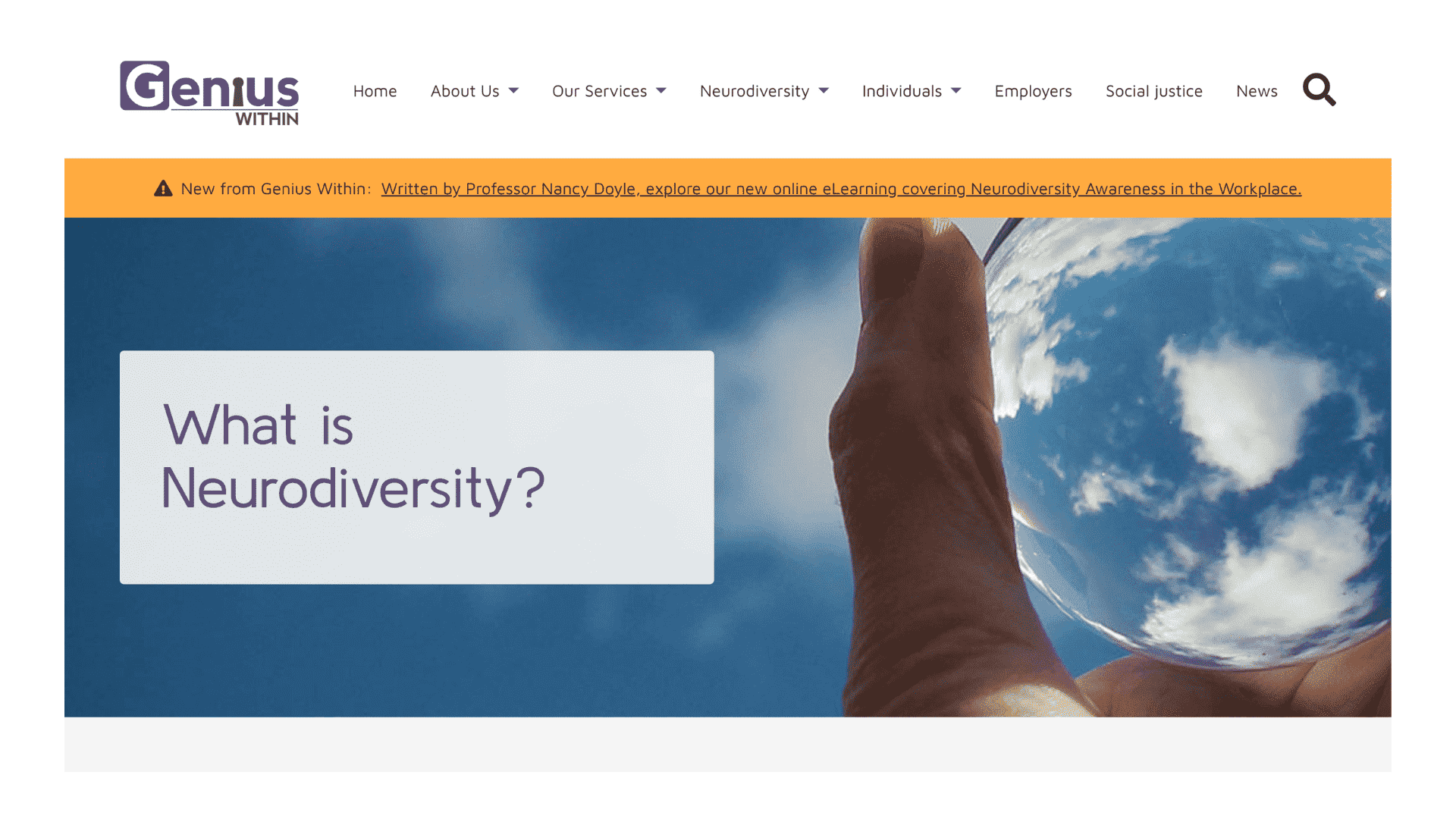 Screen capture of What is Neurodiversity? webpage