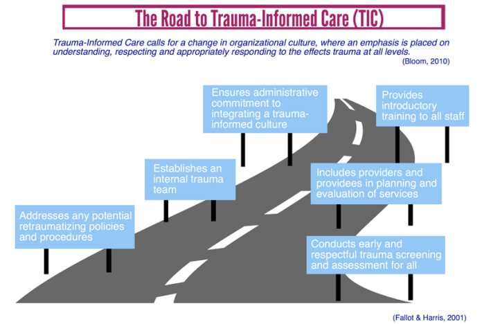 Screen capture of cover photo: What is Trauma-Informed Care?